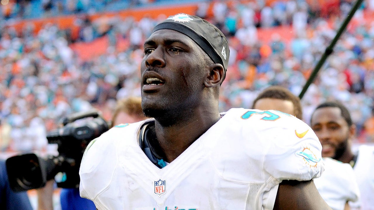 Sunday Wrap: Newest Dolphin makes most of his big break
